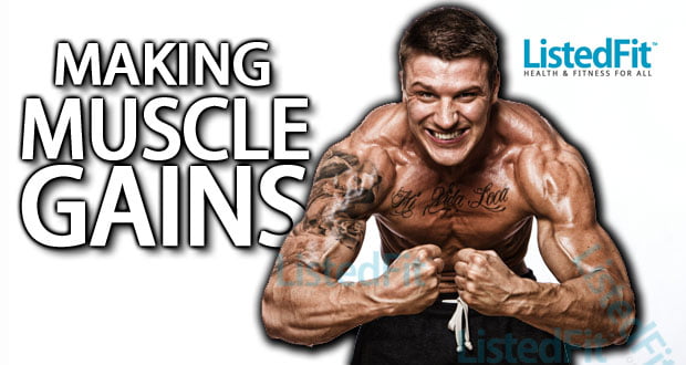 making Muscle Gains making Muscle Gains listedfit listed fit fitness health
