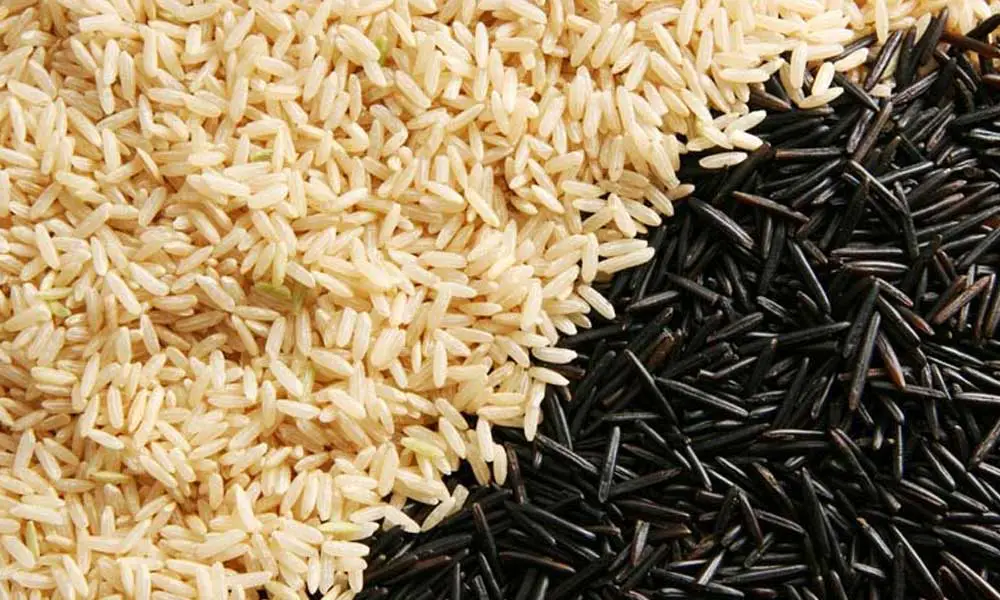 Brown Rice VS Black Rice: Which is REALLY Better For You?