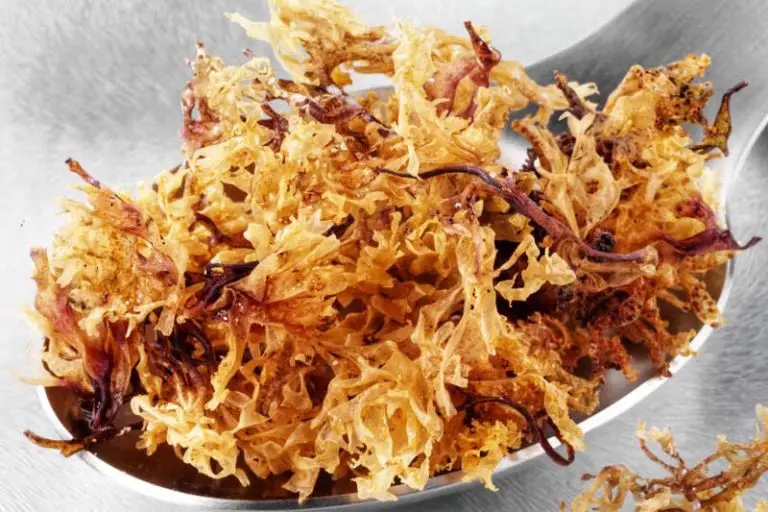 is sea moss a superfood is sea moss a superfood