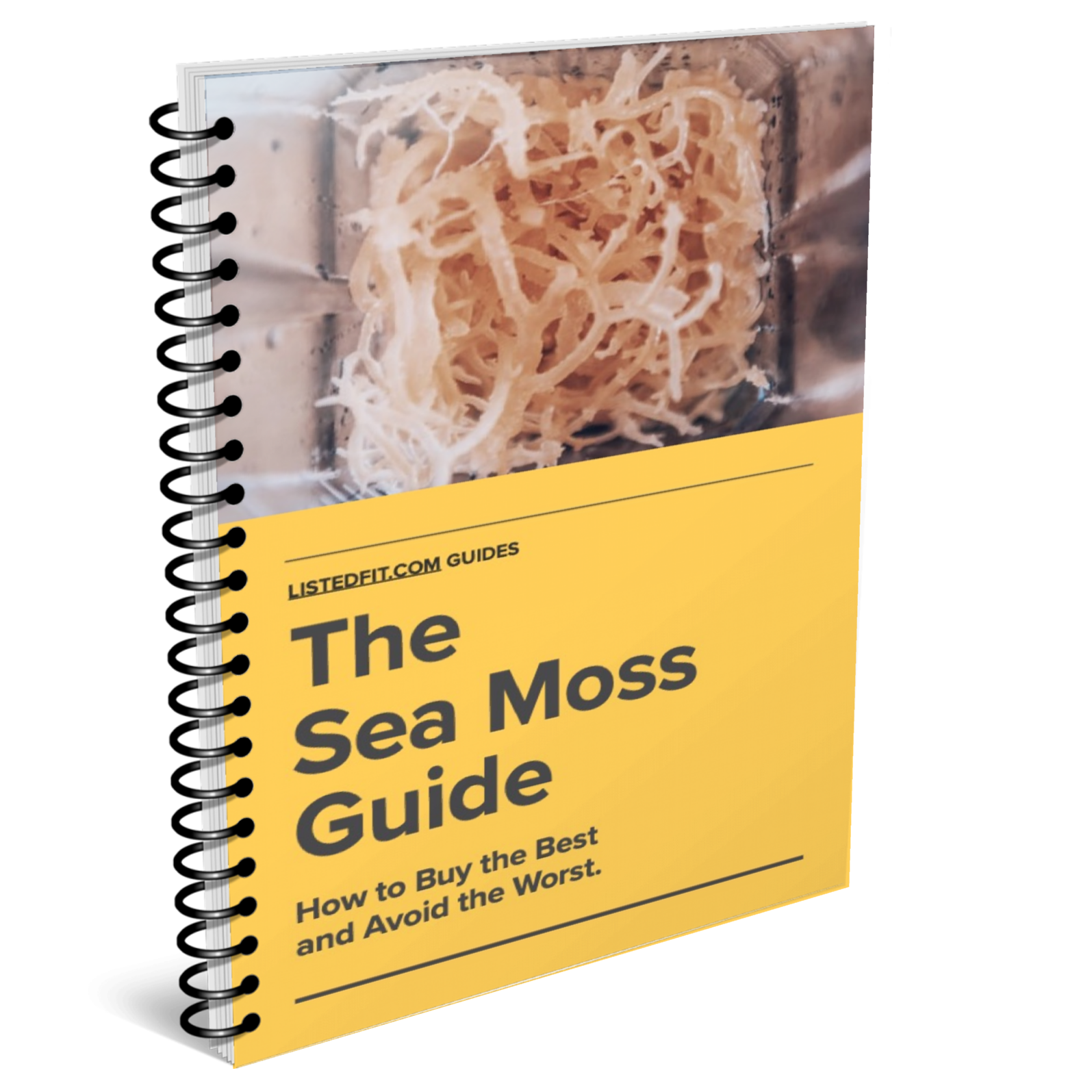 Thinking About Trying Sea Moss?