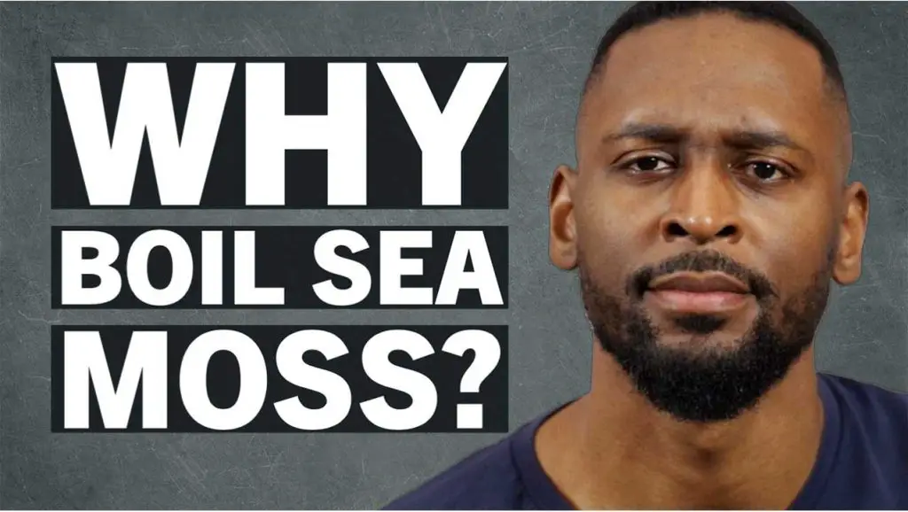 why-boil-sea-moss