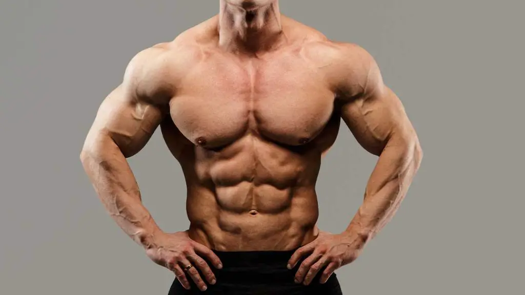 Is a Long Torso Good for Bodybuilding? Is a Long Torso Good for Bodybuilding?