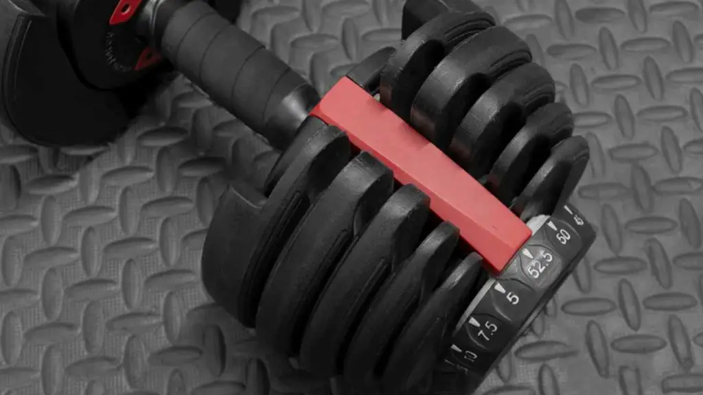 Are Adjustable Dumbbells Worth It? All You Need to Know