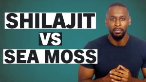 sea-moss-vs-shilajit-sea-moss-and-shilajit