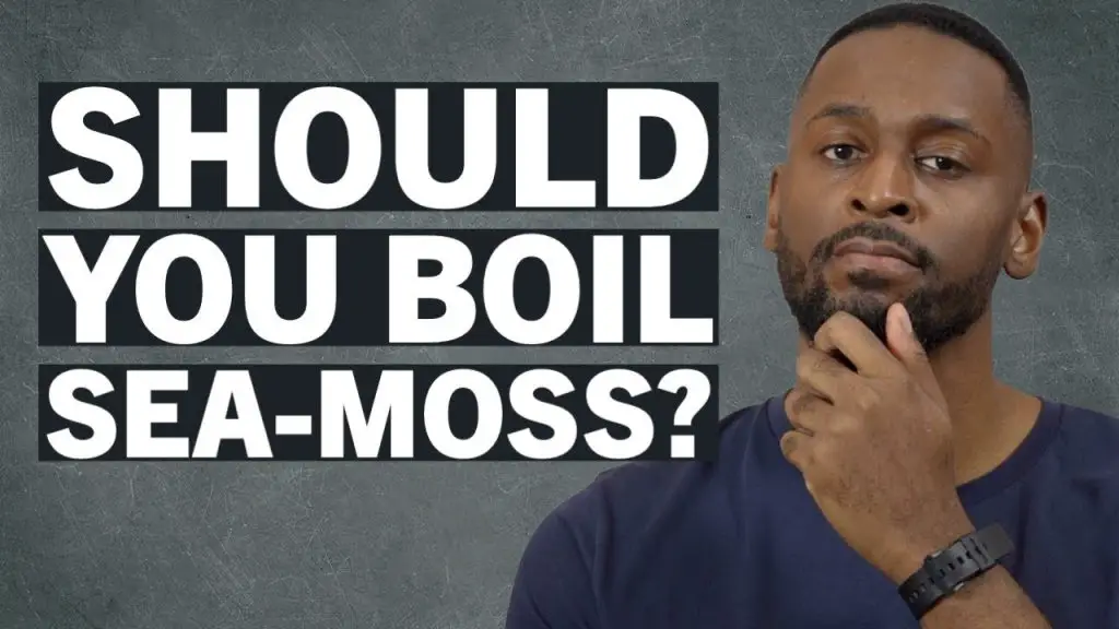 Thinking About Trying Sea Moss? 3 should you boil sea moss does it