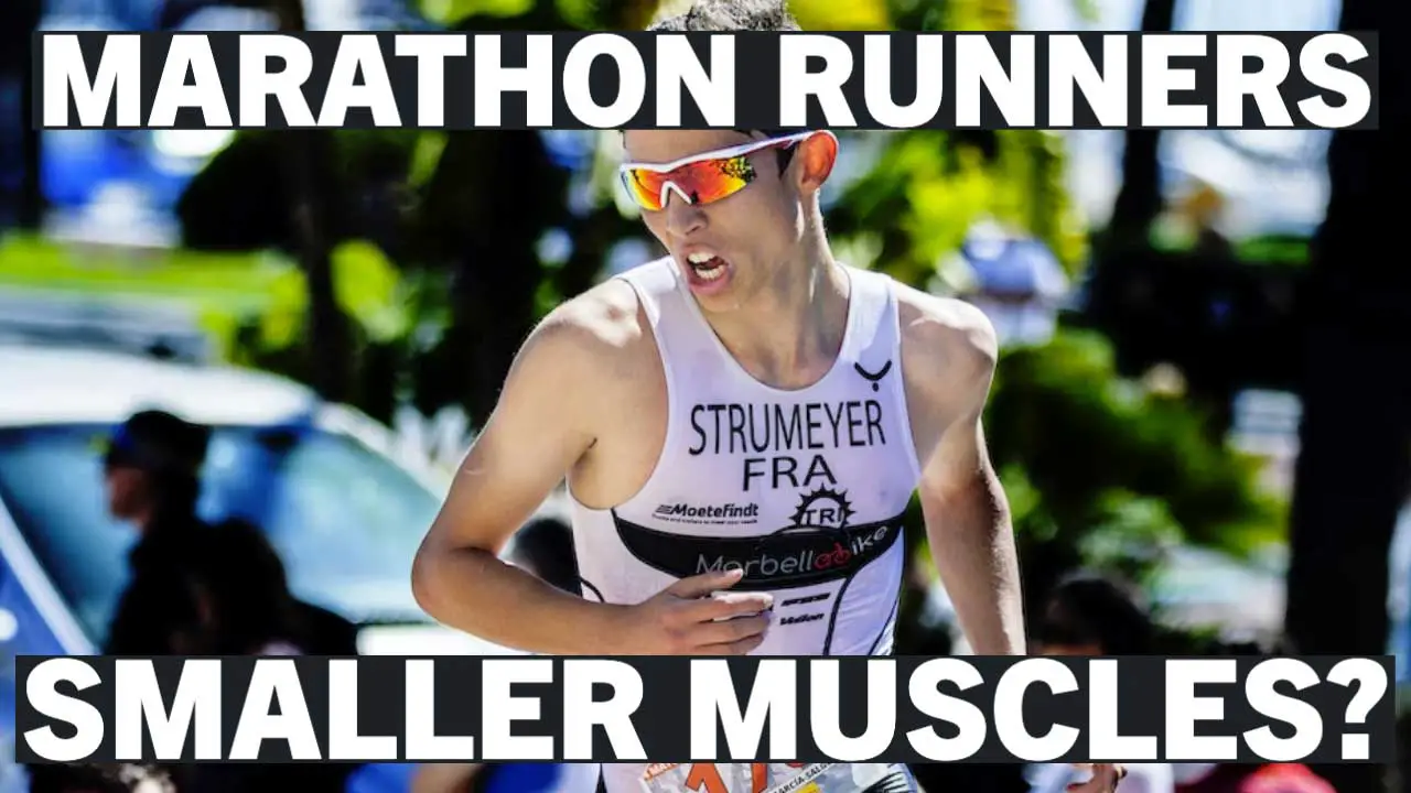 Why Do Marathon Runners Have Smaller Muscles Exploring the Science of