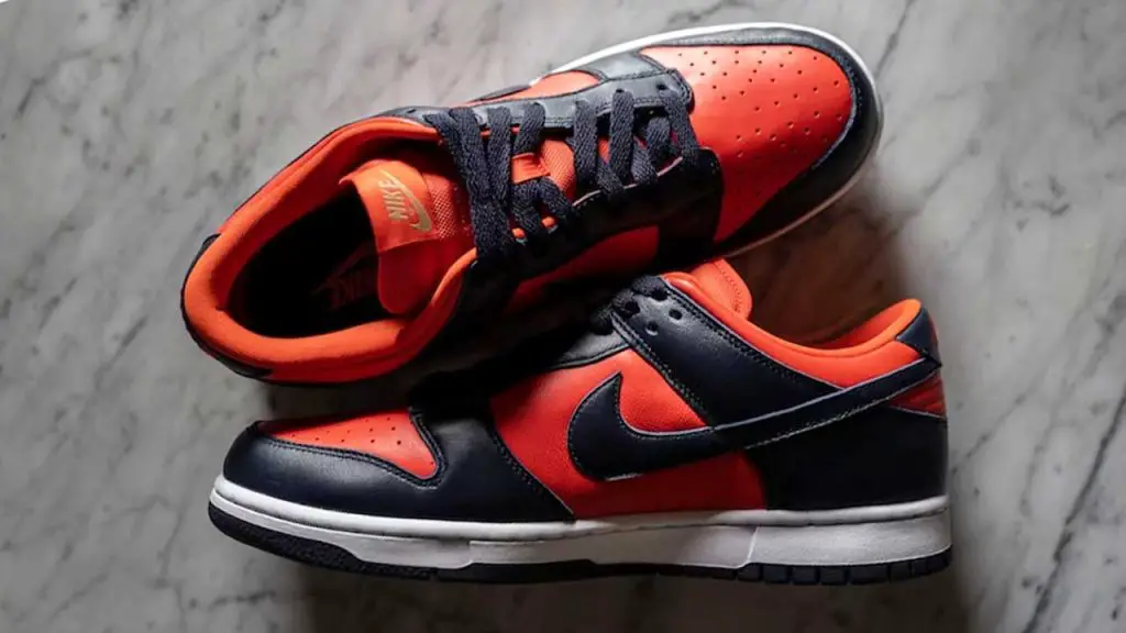 Are Nike Dunks Good for Lifting? A Comprehensive Analysis 6 are-nike-dunks-good-for-lifting
